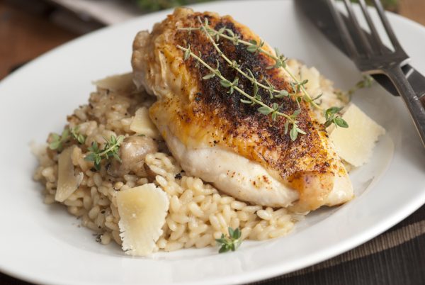Chicken with risotto on a white plate